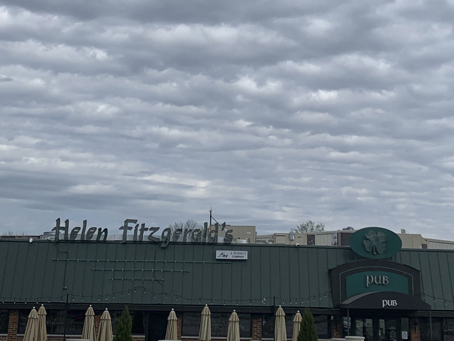 Helen Fitzgerald's
